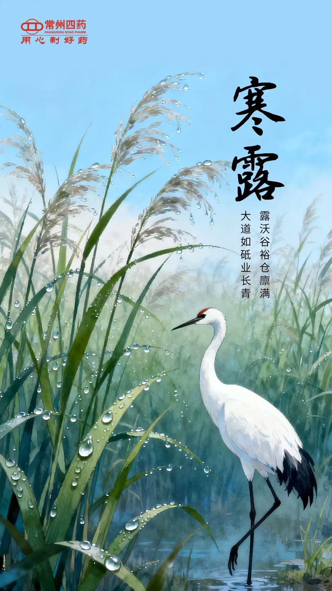 今日寒露|露重風(fēng)涼，記得添衣