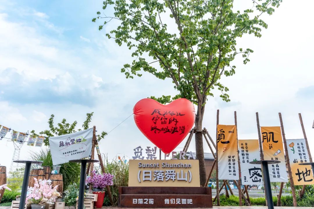 5721725503721721.jpg 11.jpg