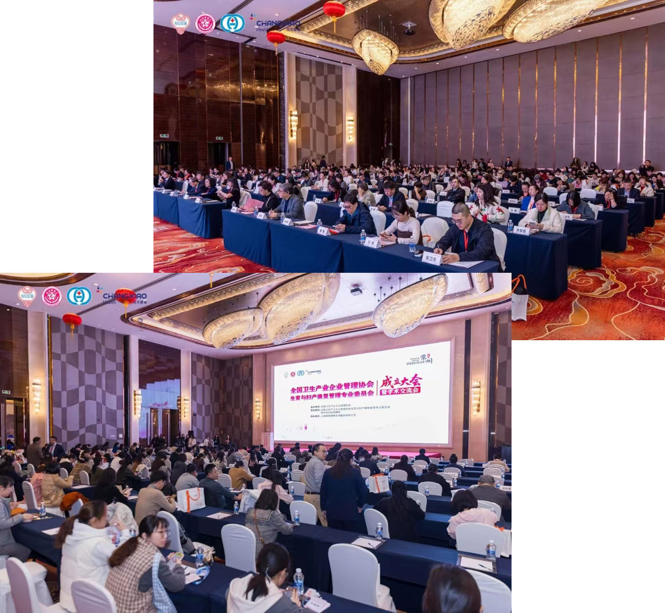 5791764581321803.jpg 5.jpg